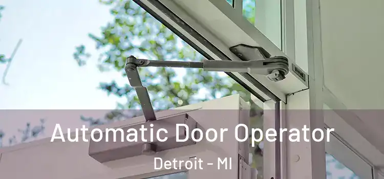  Automatic Door Operator Detroit - MI