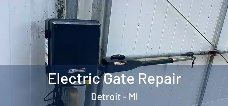  Electric Gate Repair Detroit - MI