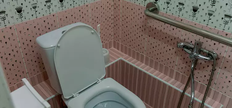 Meeting Diverse Needs With Accessible Restroom Solutions in Detroit, MI